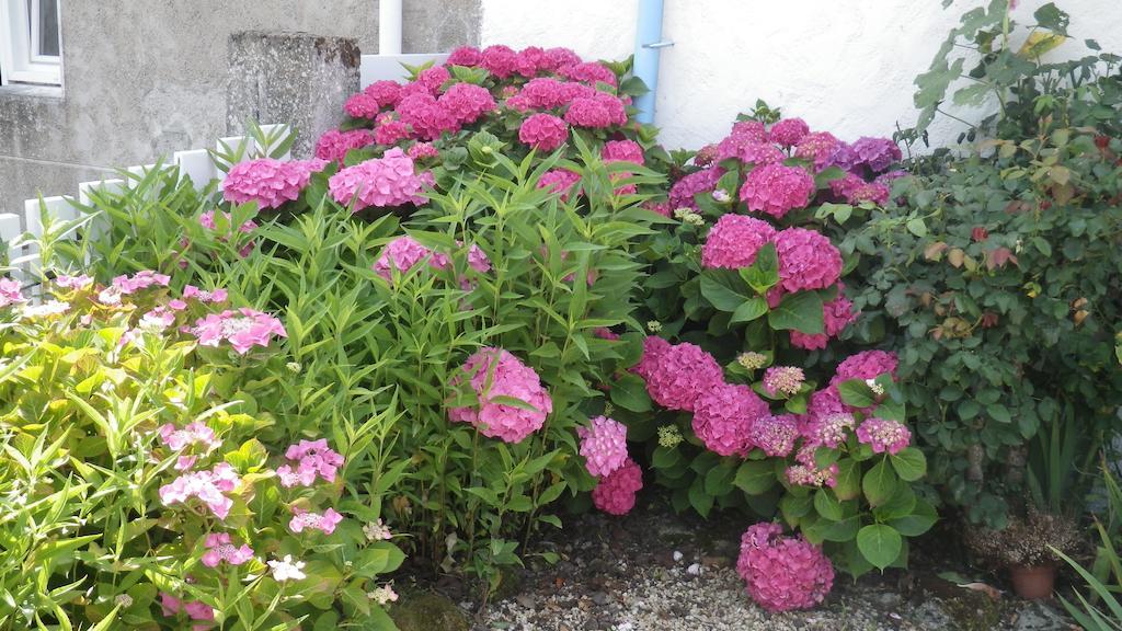 La Musardise Bed & Breakfast Guerande Luaran gambar