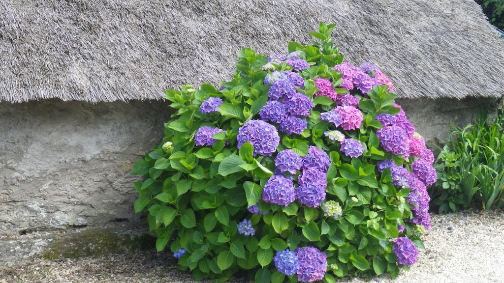 La Musardise Bed & Breakfast Guerande Luaran gambar